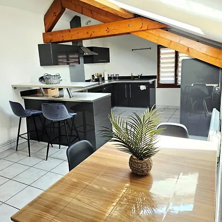 Le Cocon Spacieux Delo - Remiremont T3 Apartament *