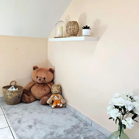 Le Cocon Spacieux Delo - Remiremont T3 Apartament *